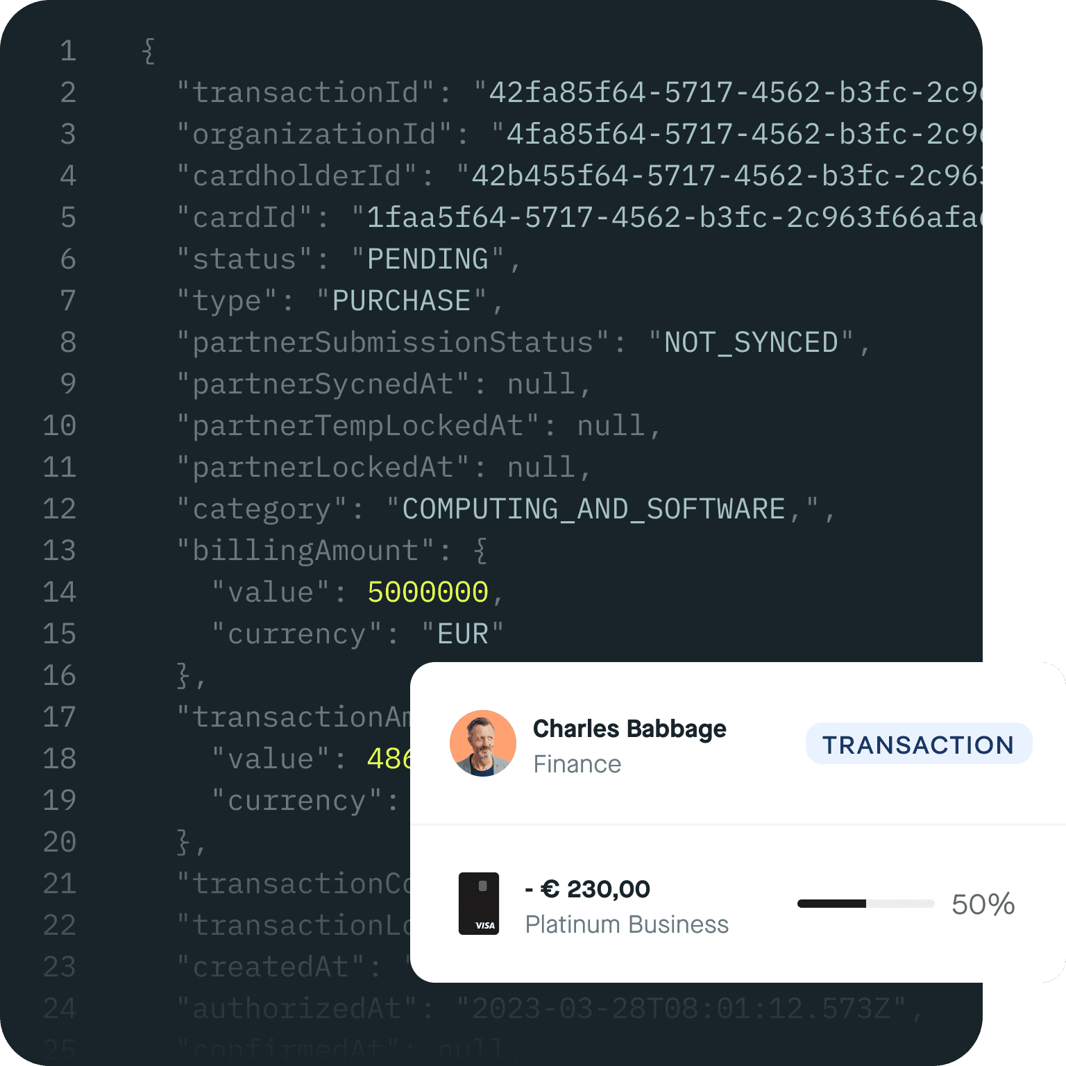 Access real-time transaction data with Pliant Pro API