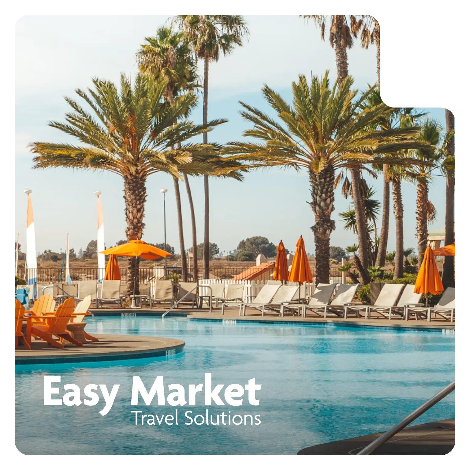 Easy market Pliant case study cover