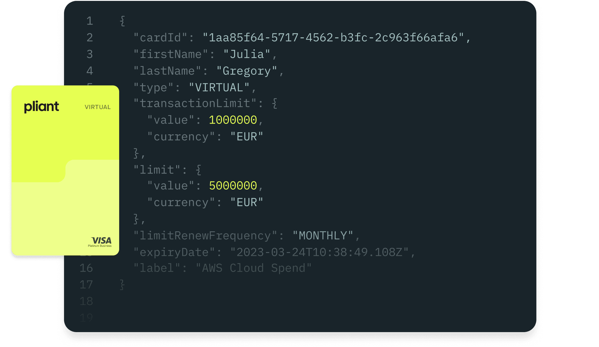 Pliant Pro API