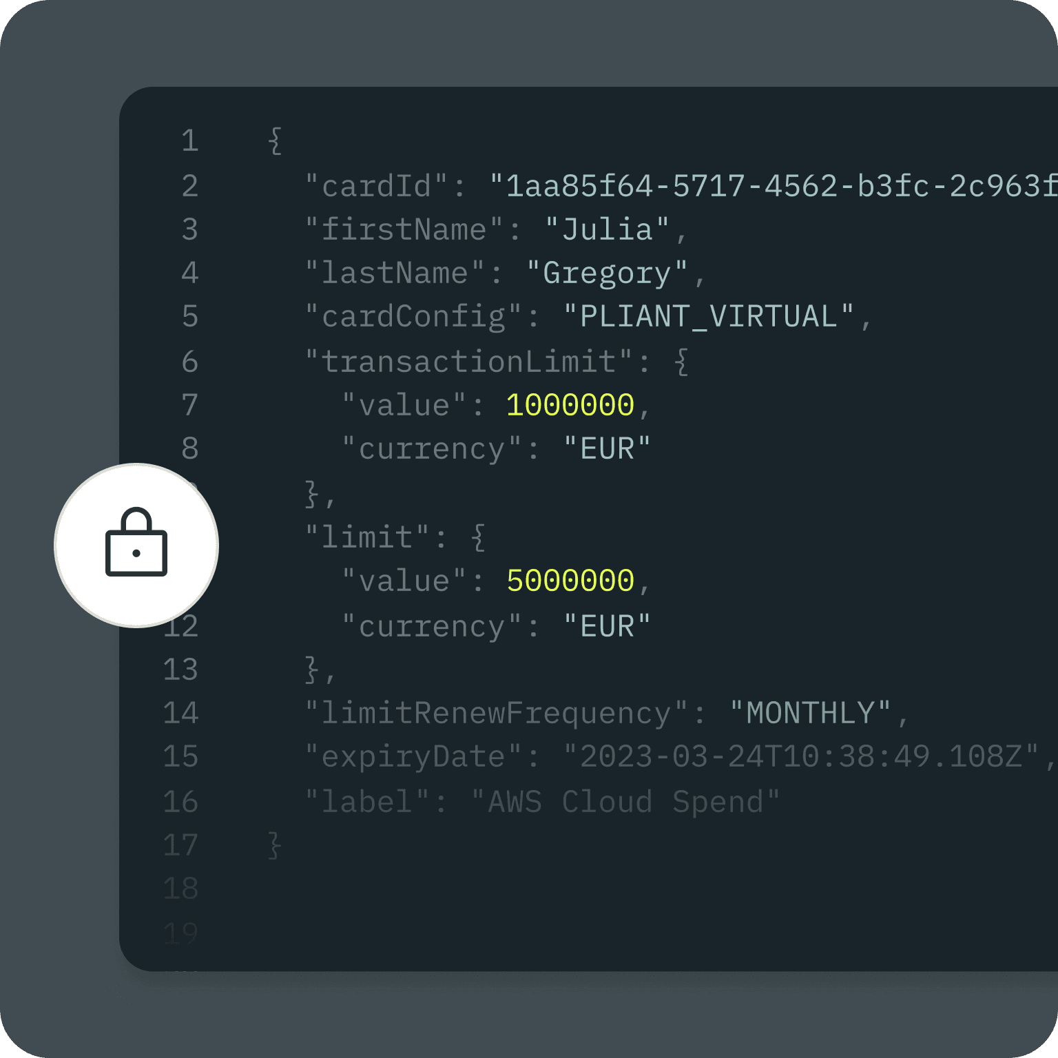 pliant api data security