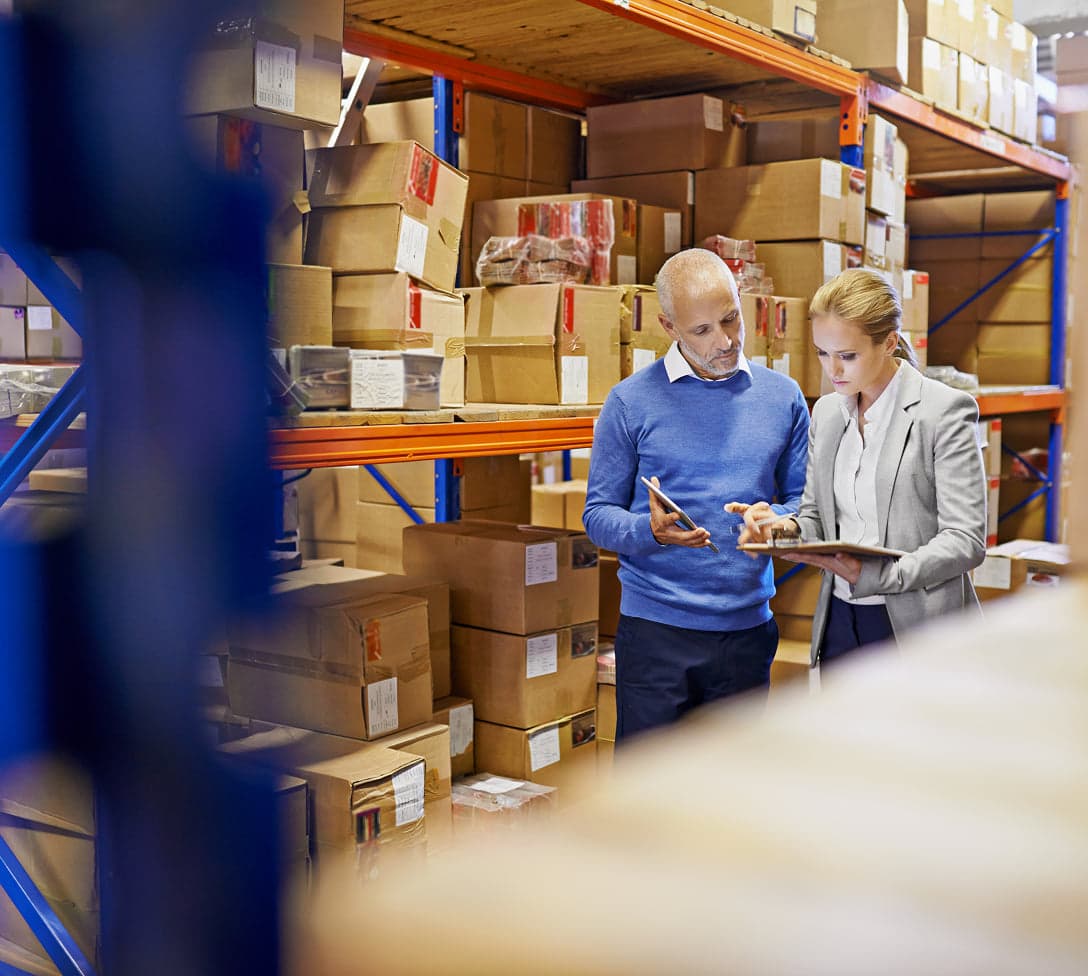 procurement & accounts payable