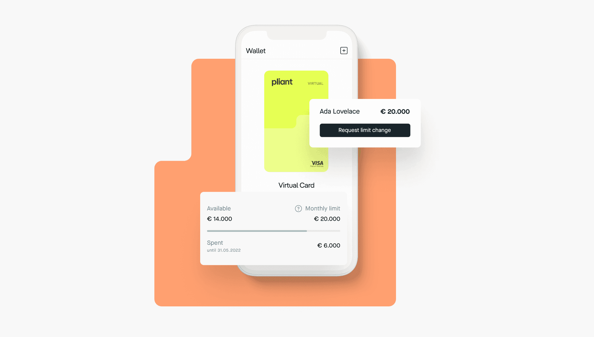Flexible credit card limits